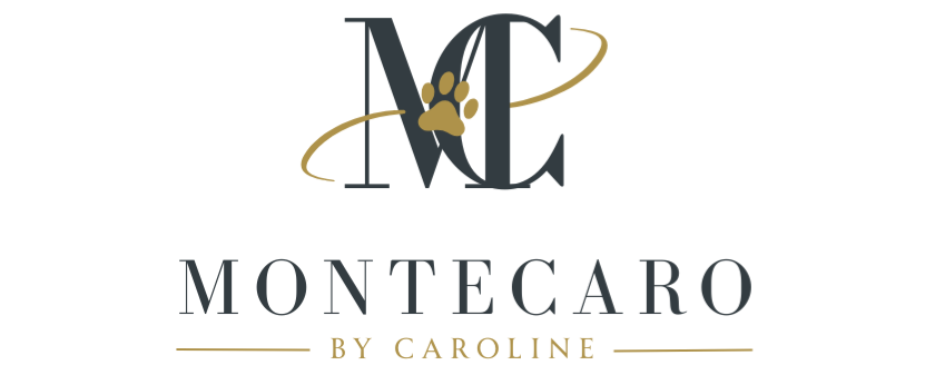 MonteCaro | Intentional Dog Lifestyle | by Caroline