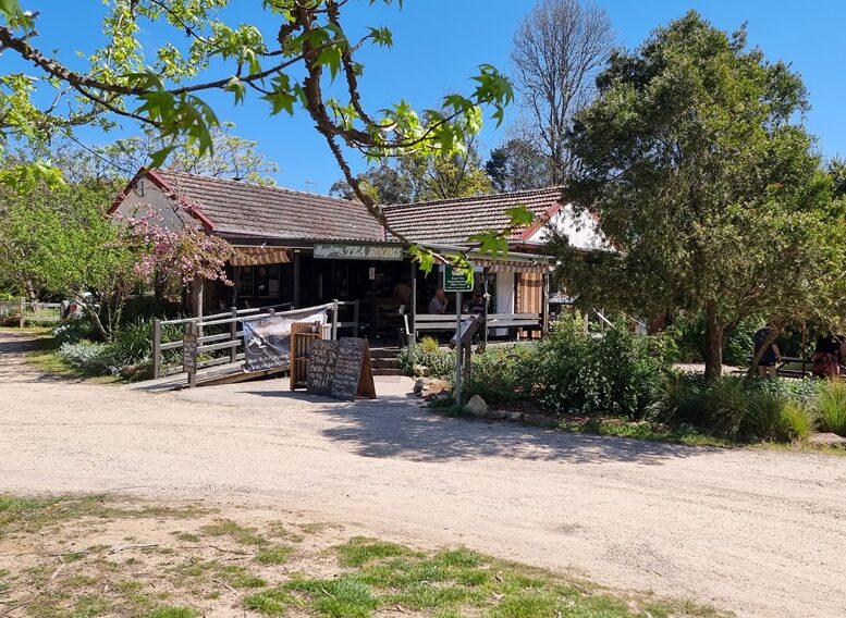 A wide eye-level shot of a rustic, single-storey cafe with a brown tiled roof and a wrap-around timber veranda. The building is surrounded by lush green trees and garden beds with pink flowers. A dirt driveway leads up to a timber ramp entrance, and an outdoor seating area with umbrellas is visible to the right under a bright blue sky.
