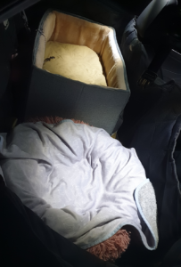 A view into the back seat of a car at night, illuminated by an interior light. A large, grey fabric booster seat with a plush cream-colored interior sits on the seat. In front of it, a round pink 'donut' bed is covered with a light grey patterned blanket. The car's upholstery is protected by a dark, quilted seat cover.