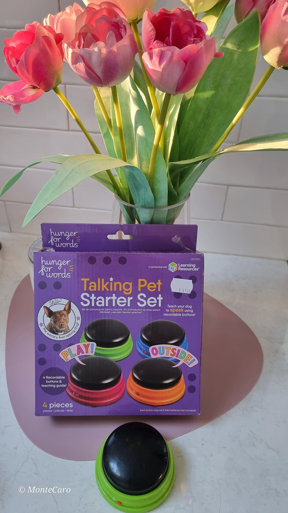 A vertical shot of a "Hunger For Words" Talking Pet Starter Set box on a white marble bench, with a single green recordable button on a pink placemat in the foreground. A vase of pink tulips sits in the background, creating a simply stylish domestic scene