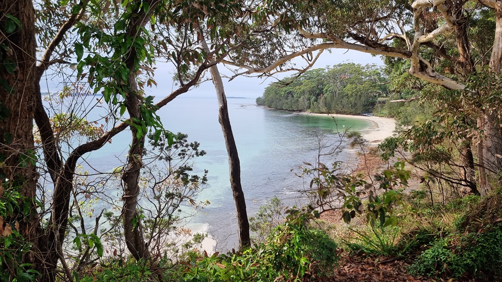 A high-angle landscape shot of a secluded beach in Huskisson, viewed through a frame of gum trees and leafy vines. The clear turquoise water of Jervis Bay gently meets a white sandy shore, backed by a dense green forest under a pale, overcast sky