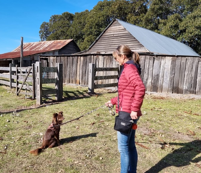 A woman in a red puffer jacket and blue jeans stands on a grassy patch in front of weathered timber farm buildings and a post-and-rail fence. She is wearing the black Stylish Hound OG Pouch 3.0 and holding a lead attached to Monte, a brown Miniature American Shepherd. Monte is sitting patiently on the grass, looking up at her.