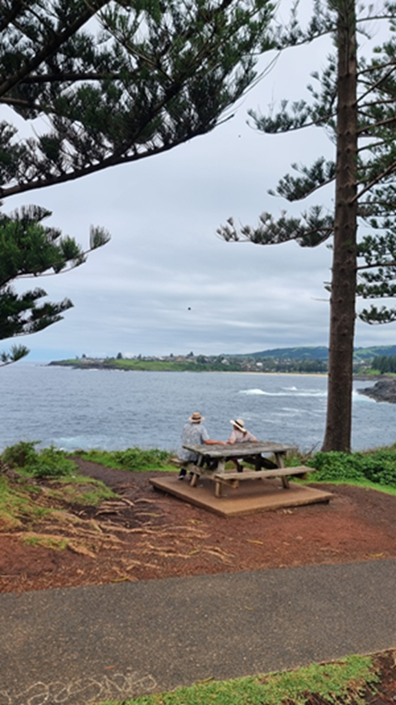 A high-angle shot through Norfolk Island pine branches showing a couple wearing sun hats sitting at a wooden picnic table on a dirt headland. They are looking out over a vast blue ocean toward a distant green coastline under a cloudy sky.