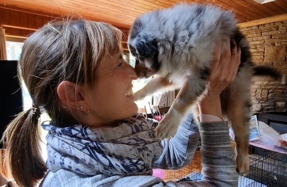 A side-profile shot of a smiling woman with a ponytail, wearing a grey striped hoodie and a blue patterned scarf, holding up a blue merle Miniature American Shepherd puppy named Milo. She is lifting the puppy toward her face, and Milo is gently touching his nose to hers. The background shows a rustic living area with a stone fireplace, wood-panelled ceiling, and a wire puppy pen.