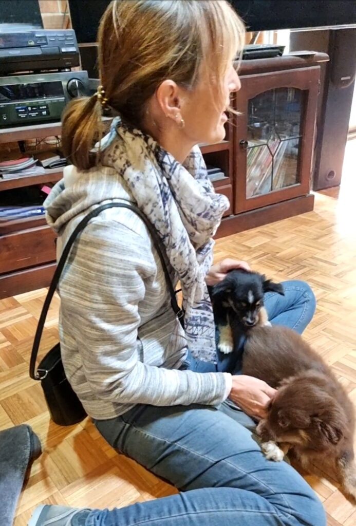 A side-profile shot of a woman with a ponytail, wearing a grey striped hoodie and a patterned scarf, sitting cross-legged on a parquet timber floor. She is leaning forward to interact with three Miniature American Shepherd puppies huddling in her lap. One black puppy is pressed against her chest, while a chocolate-brown puppy rests against her leg. The background shows a dark wooden cabinet and a sunlit doorway