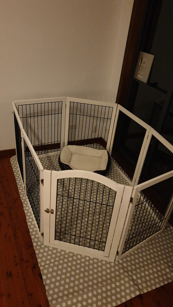 AA high-angle vertical shot of a modern pet playpen set up on a wooden floor. The hexagonal pen consists of white wooden frames with black vertical metal bars and includes a small gate with a metal latch. Inside, a small cream-coloured plush dog bed sits on a grey and white polka-dot Flannel-Backed Vinyl Tablecloth from Kmart a floor protection hack for Modern Pets wooden dog pen on hardwood floors. The pen is positioned in the corner of a room with white walls.