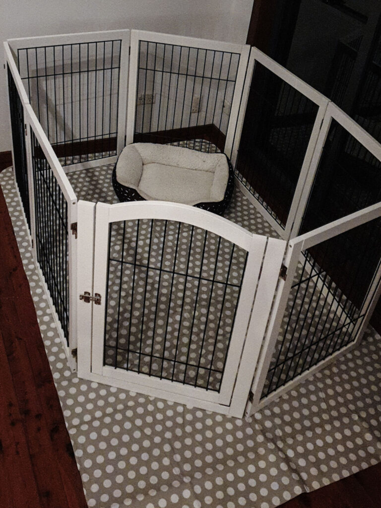 A white Modern Pets wooden dog pen set up in a hexagonal configuration on a brown timber floor. Inside the pen, a small black and white patterned Kmart dog bed sits on a grey vinyl tablecloth with white polka dots.
