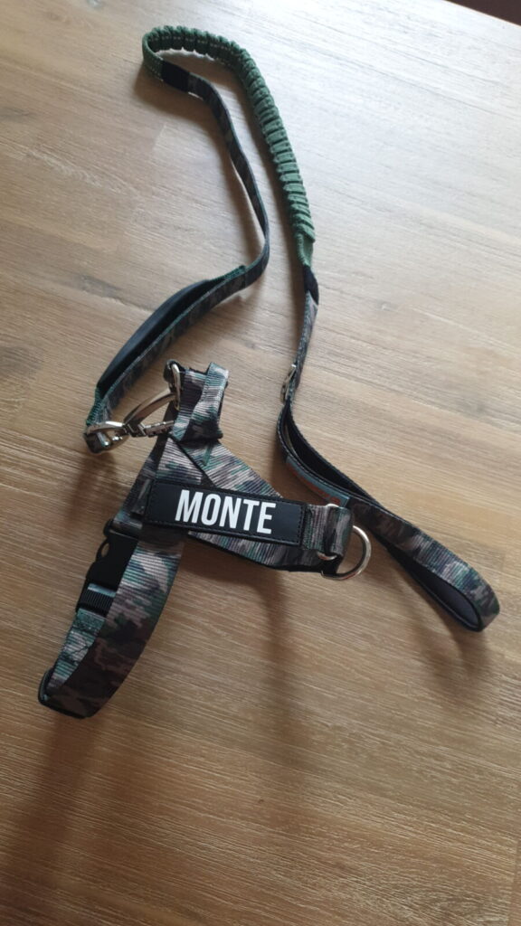 A high-angle shot of a dog harness and matching lead set laid out on a light-coloured timber surface. The gear features a forest-green and grey camouflage pattern. The harness has a prominent black Velcro patch with "MONTE" printed in white. The lead includes a bungee section and a padded handle for comfort.