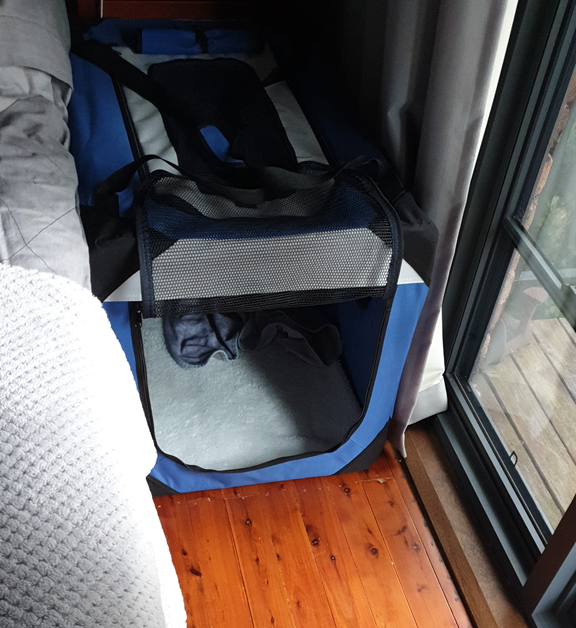 A vertical eye-level shot of a blue and black soft-sided pet crate positioned on a polished timber floor next to a bed. The crate is open at the front, revealing a white fleecy mat and a dark grey blanket inside. A grey textured knit throw blanket draped over the edge of the bed partially frames the left side of the shot, and a glass sliding door leads to a balcony on the right.