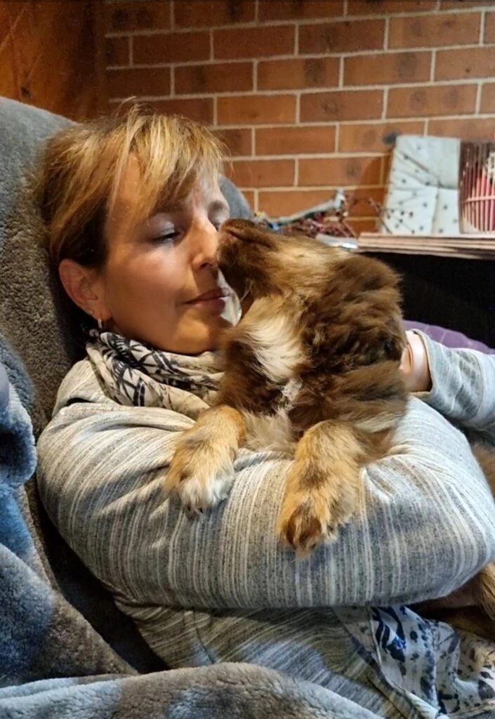 A close-up shot of a woman with her eyes closed, wearing a grey striped hoodie and a patterned scarf, leaning back into a grey plush chair. She is holding a fluffy chocolate-brown Miniature American Shepherd puppy, The puppy is reaching up to lick her nose. The puppy has white and tan markings on his chest and paws. The background features a rustic red brick wall and wooden panelling.