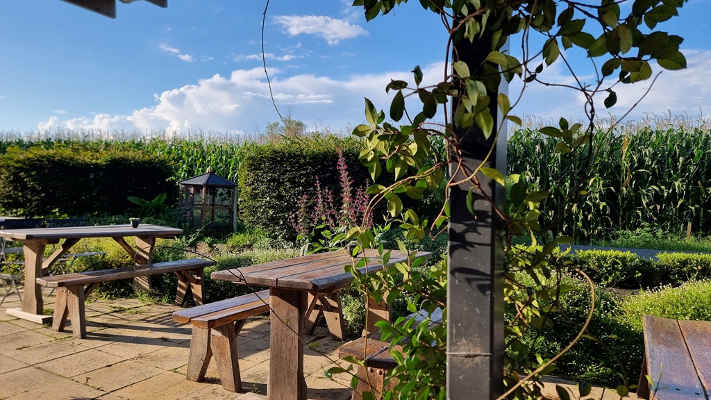 ght, sunny photograph of an outdoor dining terrace at The Butter Factory in Pyree. Two rustic wooden picnic tables sit on a stone-paved patio, bordered by low green hedges and tall cornfields in the background. A climbing vine in the foreground partially frames the view of a blue sky with soft white clouds.