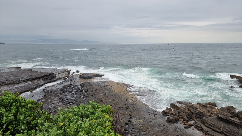 A wide-angle landscape view from Penguin Head Lookout in Culburra. A vast, dark, flat rock platform extends into the churning grey-blue ocean. White waves crash against the jagged rocks, and a few seagulls are seen flying over the water under a heavy, overcast sky.