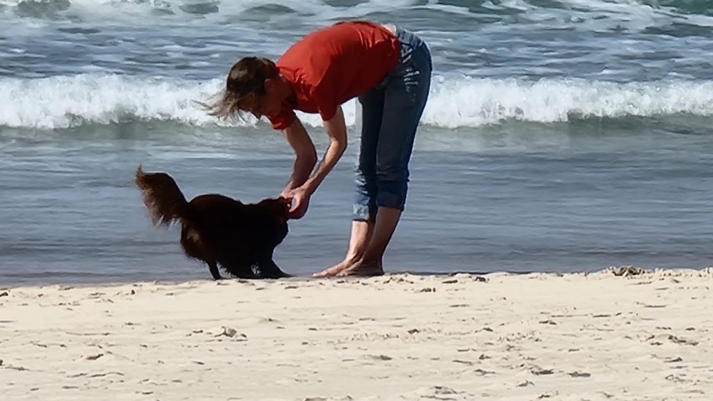 A wide-angle candid shot of Caroline and Monte playing on a sandy beach. Caroline, wearing a burnt orange shirt and denim capris, is bent over with her hands out toward Monte, who is a dark silhouette against the sand, looking up at her excitedly. In the background, white waves crash against a blue ocean under a bright sky.