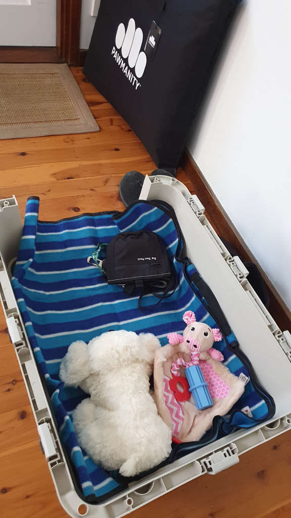 A vertical top-down shot of a grey pet travel crate prepared for a new puppy. The crate is lined with a blue and white striped fleece blanket and contains a white plush Snuggle Puppy, a pink plush pig toy, and a small blue chew toy. A black 'Dog Treat Pouch' rests near the centre. In the background, a large black 'Pawmanity' car seat cover leans against a white wall on polished timber floors.