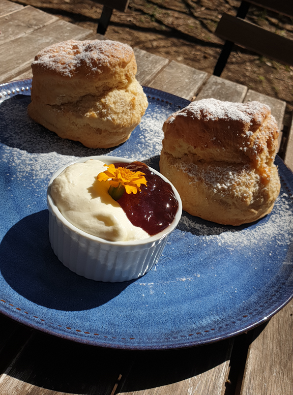 A close-up high-angle shot of two large, golden-brown scones dusted with icing sugar, served on a textured blue ceramic plate. In the foreground, a small white ramekin holds thick cream and dark red jam, garnished with a single small orange flower. The plate sits on a weathered timber outdoor table in a shaded garden setting.