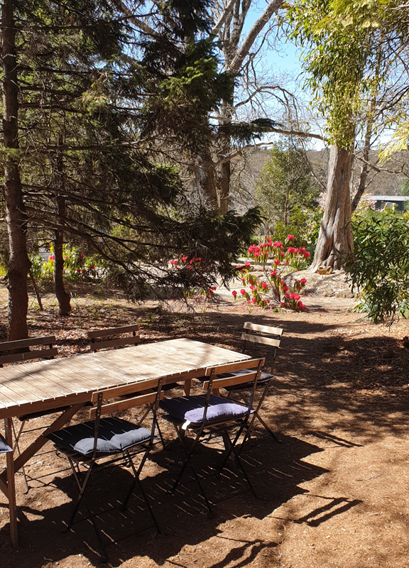 Here is the metadata for the outdoor pet-friendly seating at Sorenson's Glasshouse, written in Australian English for your blog. Alternative Text "A vertical high-angle shot of a rustic timber dining table with four matching folding chairs, each fitted with a navy blue cushion. The setting is located in a shaded outdoor garden with the ground covered in brown pine needles and mulch. In the background, sun-drenched garden beds feature vibrant red azaleas and tall, established trees under a clear blue sky.