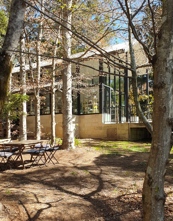 Here is the metadata for the view of Sorenson's Glasshouse from the gardens, written in Australian English for your blog. Alt Text "A vertical eye-level shot of a modern glass and sandstone building nestled amongst tall, slender trees in a garden. The building features large black-framed windows and a white roof, sitting on a base of light-coloured sandstone blocks. In the shaded foreground, a timber outdoor table and chairs are set on a ground covered in dry leaves and mulch, with long shadows from the trees stretching across the earth.