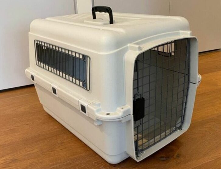 A vertical eye-level shot of a cream-coloured plastic pet travel crate resting on polished timber floorboards. The crate features a black carry handle on top, a grey metal wire front door, and side ventilation windows with metal grilles. The background consists of a clean, minimalist white wall and skirting board.