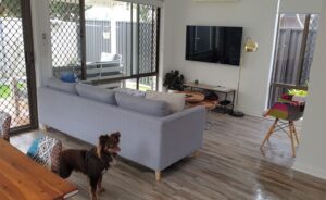 A bright, modern living room with light timber-look flooring. A long grey sofa sits in the center, and a brown Miniature American Shepherd stands in the foreground looking toward the camera. In the background, a large wall-mounted TV and a gold floor lamp are visible next to glass sliding doors that lead to an outdoor deck.