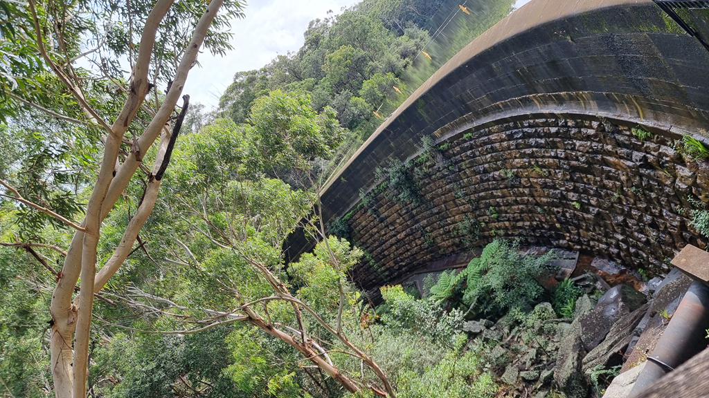 A high-angle view looking down at the curved, sandstone-block dam wall at Lake Parramatta. Lush green gum trees and ferns frame the top and left side of the shot, while the calm water of the reservoir is visible on the right.