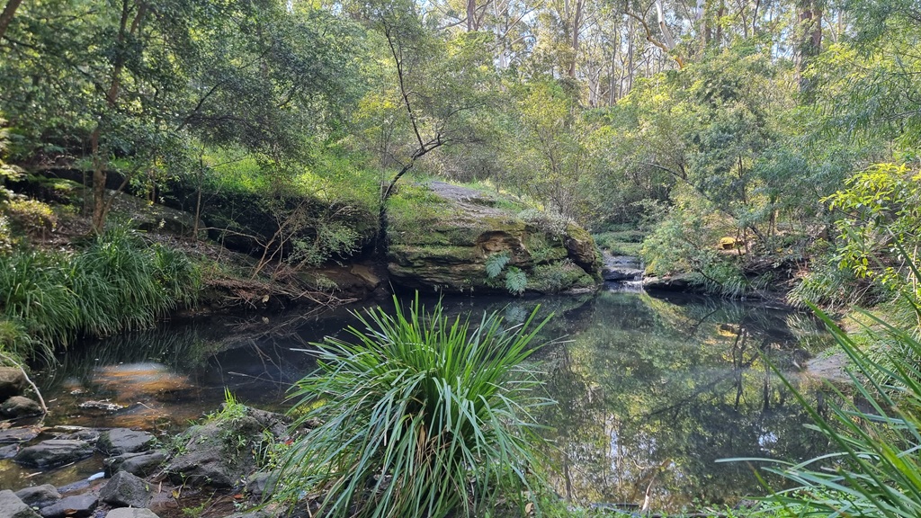 A small waterfall cascading over mossy sandstone rocks into a still, reflective pool at Moxham Park, Northmead.