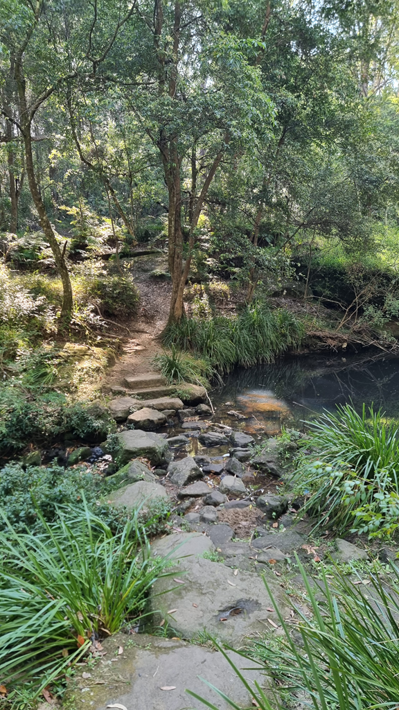 A natural sandstone rock crossing over Quarry Branch Creek on the Moxham Park Loop walking track.