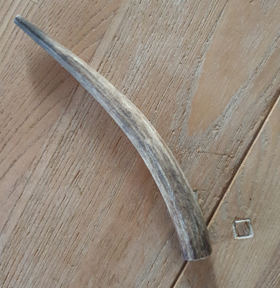 A close-up of a natural deer antler chew on a light-colored timber surface.