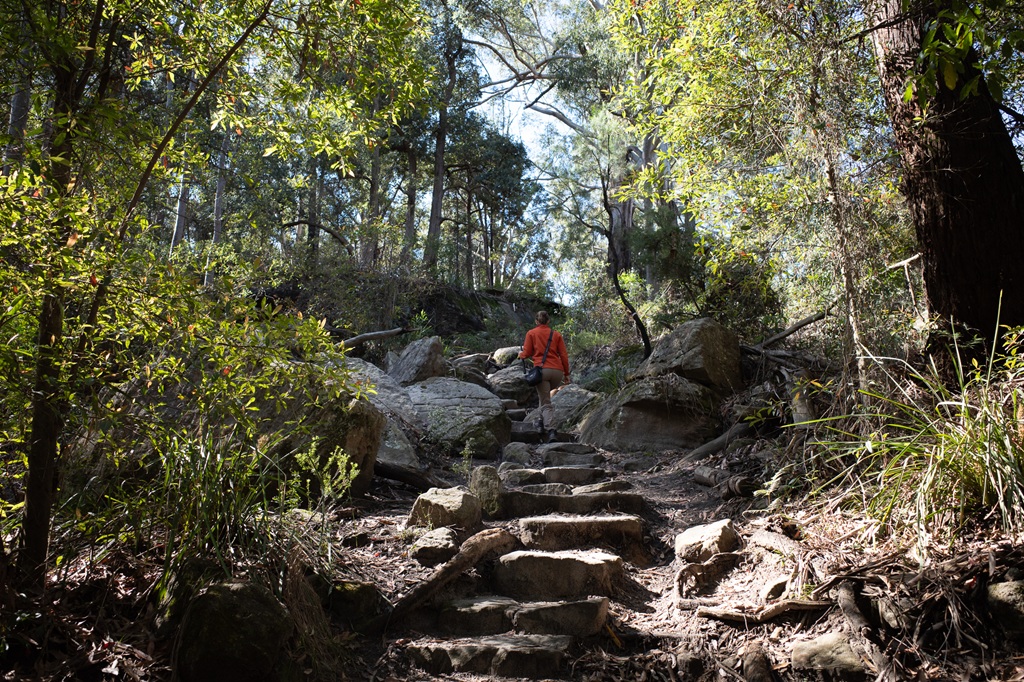 A woman in an orange jacket climbs a steep natural stone staircase on a bushwalking trail surrounded by tall gum trees at Lake Parramatta Reserve.