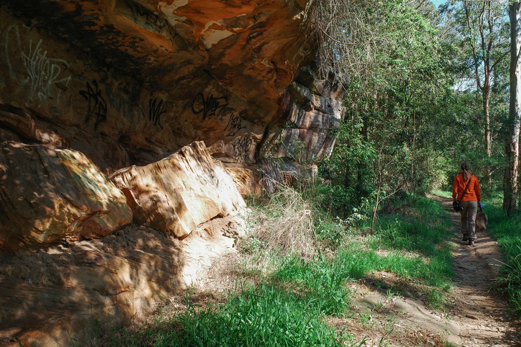 A woman in an orange top walking her dog along a bush trail next to a large, textured sandstone rock overhang at Pemulwuy Loop.