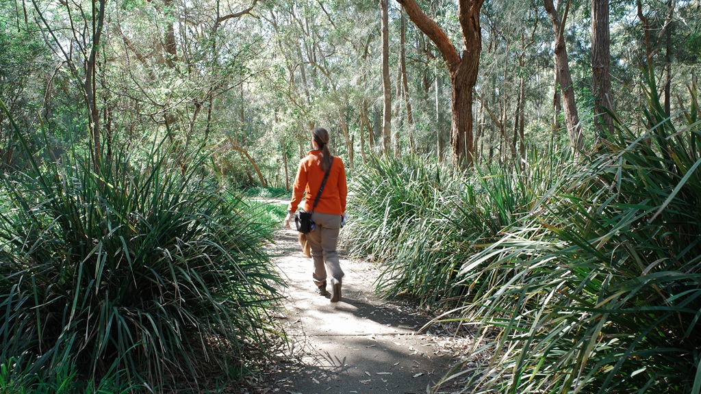 A woman walking away down a paved bush path lined with large native grasses and tall gum trees in afternoon sunlight.