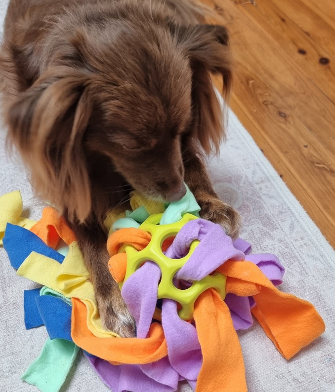 A colorful fabric snuffle roll out ball with hidden treat pockets, used for indoor dog enrichment.
