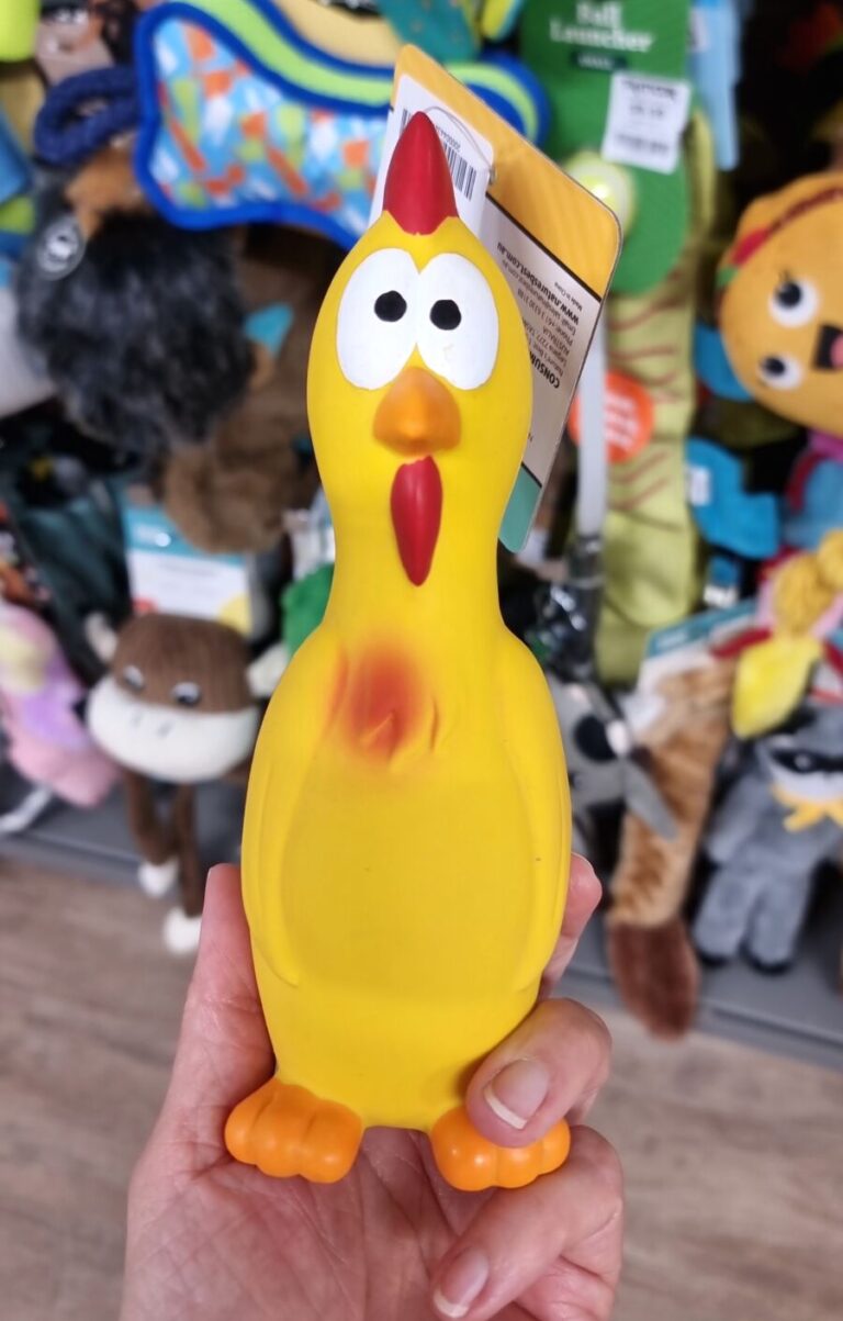 A hand holding a bright yellow squeaky rubber chicken dog toy in the pet aisle of a TK Maxx store.