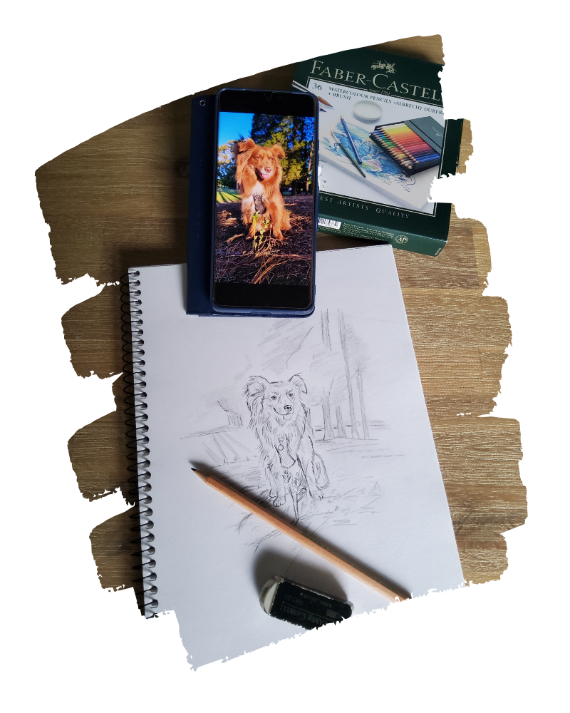top-down, flat-lay photograph on a timber desk. A spiral-bound sketchbook shows a loose pencil sketch of Monte, a Miniature American Shepherd, sitting in a wooded trail. A wooden pencil and a Faber-Castell eraser rest on the page. Above the sketch, a smartphone in a blue flip case displays a vibrant reference photo of Monte in the sun. A green box of Faber-Castell Albrecht Dürer watercolour pencils sits in the top right corner.