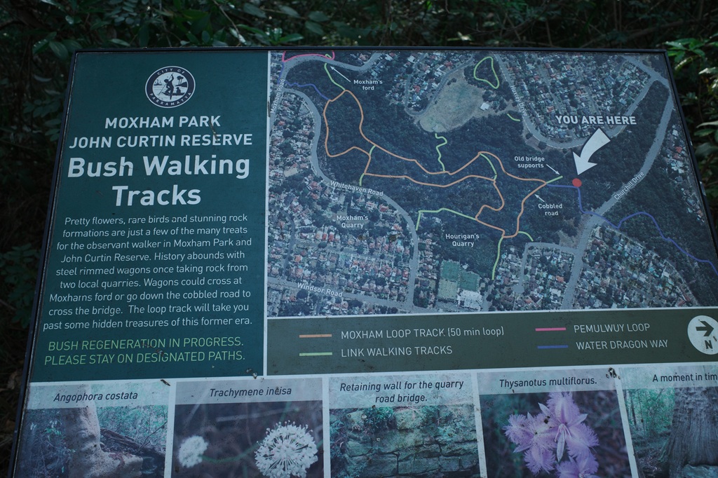 Official trail map sign for Moxham Park and John Curtin Reserve bush walking tracks in Northmead.