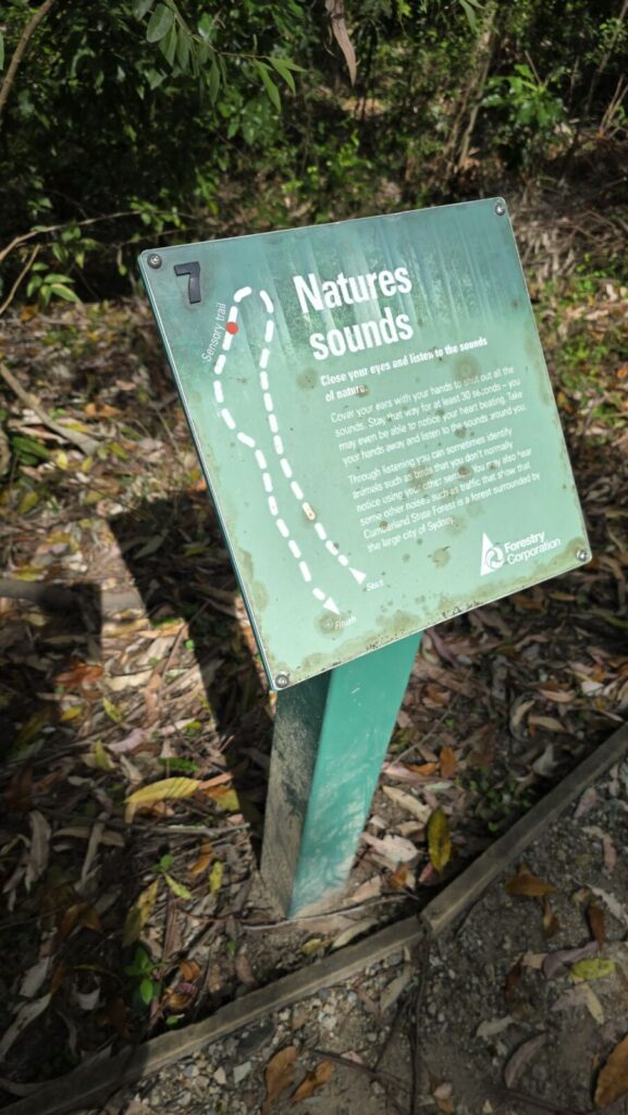 A green and white "State Forest Adventure" activity sign stands in the foreground on a bush track, while a woman walks ahead on a dirt path leading her long-haired reddish-brown dog, Monte, on a lime-green lead into the native forest.