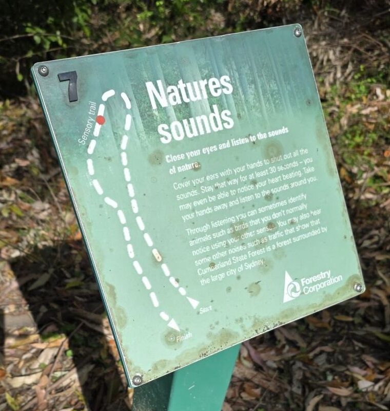 A green and white "State Forest Adventure" activity sign stands in the foreground on a bush track, while a woman walks ahead on a dirt path leading her long-haired reddish-brown dog, Monte, on a lime-green lead into the native forest.