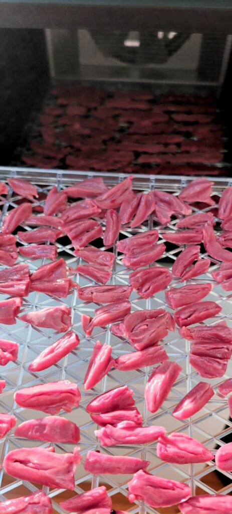 Thinly sliced pieces of raw heart meat arranged evenly on a clear dehydrator tray resting on a light wooden table.