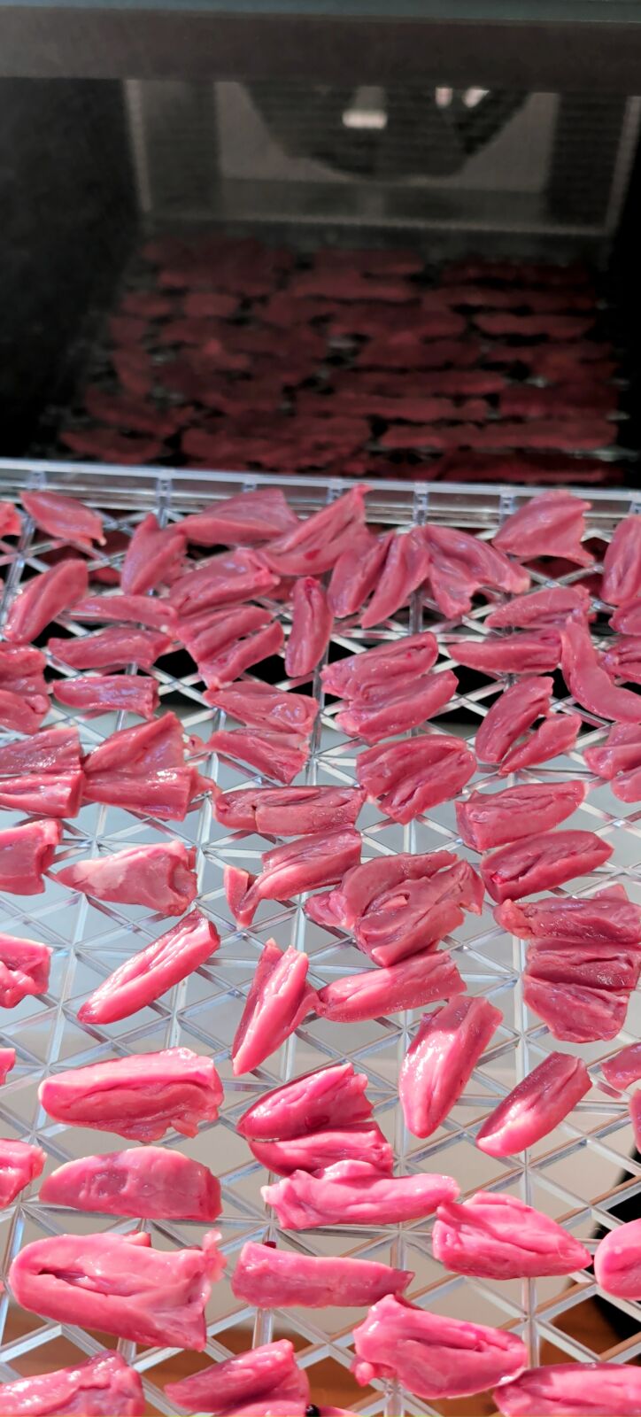 Thinly sliced pieces of raw heart meat arranged evenly on a clear dehydrator tray resting on a light wooden table.