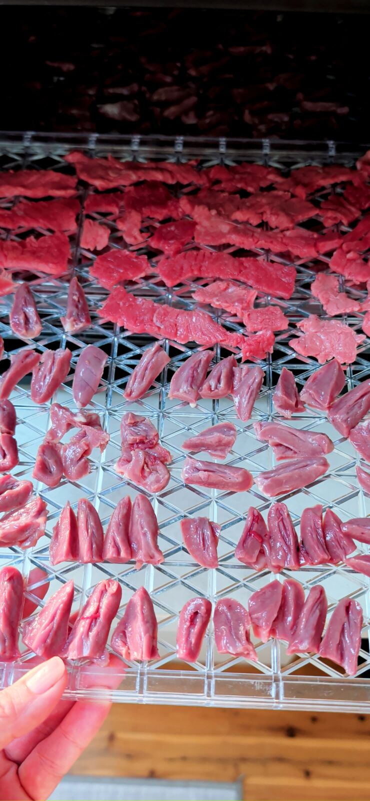 A hand holding a clear, gridded dehydrator tray filled with raw, halved chicken hearts in the foreground and sliced raw beef strips in the background, sliding it into a black dehydrator machine.