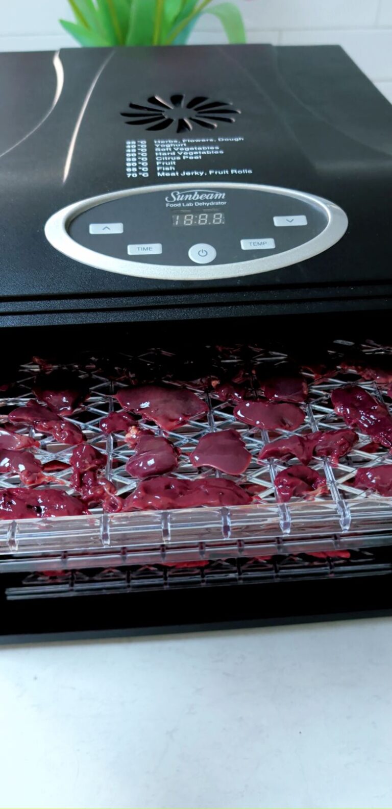 A clear, gridded dehydrator tray filled with wet, dark red pieces of raw liver, sitting partially inside a black Sunbeam Food Lab dehydrator on a white kitchen bench.