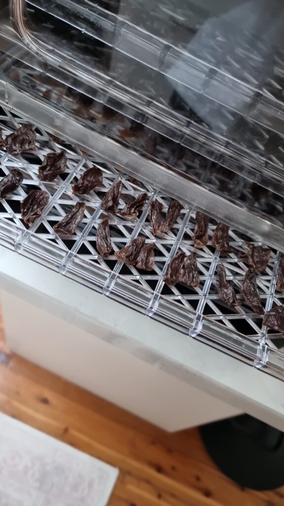 Close-up of thinly sliced, homemade meat treats drying on the clear, tiered trays of a food dehydrator on a kitchen bench.
