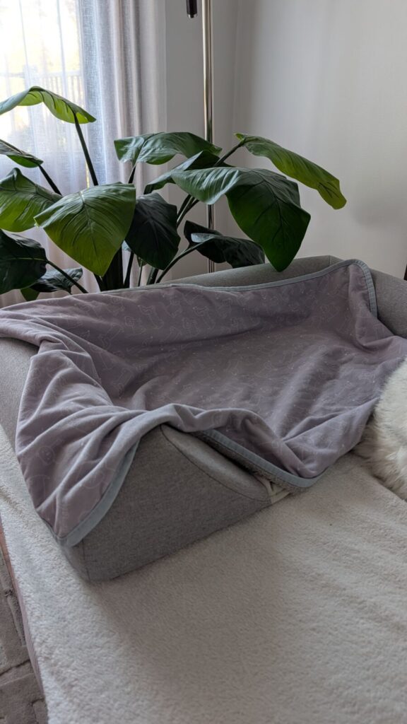A close-up view of a grey fabric Omlet Topology bolster dog bed topper repurposed as a couch protector on a light-coloured sofa, draped with a patterned grey and white dog-themed blanket in front of a large green indoor plant.