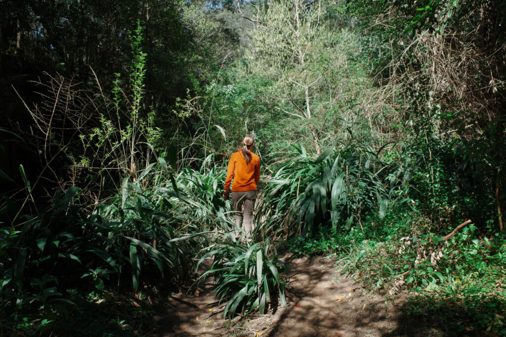 A woman wearing a bright orange long-sleeve top hiking away from the camera along a dirt bush trail surrounded by thick green native ferns and dense foliage.