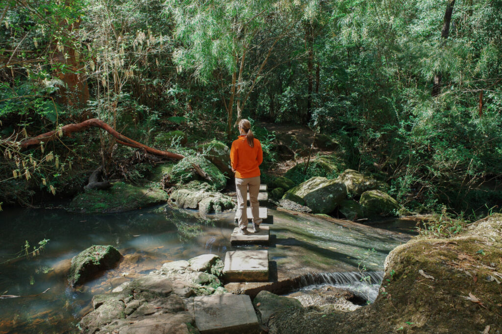 A woman wearing a bright orange top stands on concrete stepping stones crossing a flowing creek in a dense green forest.