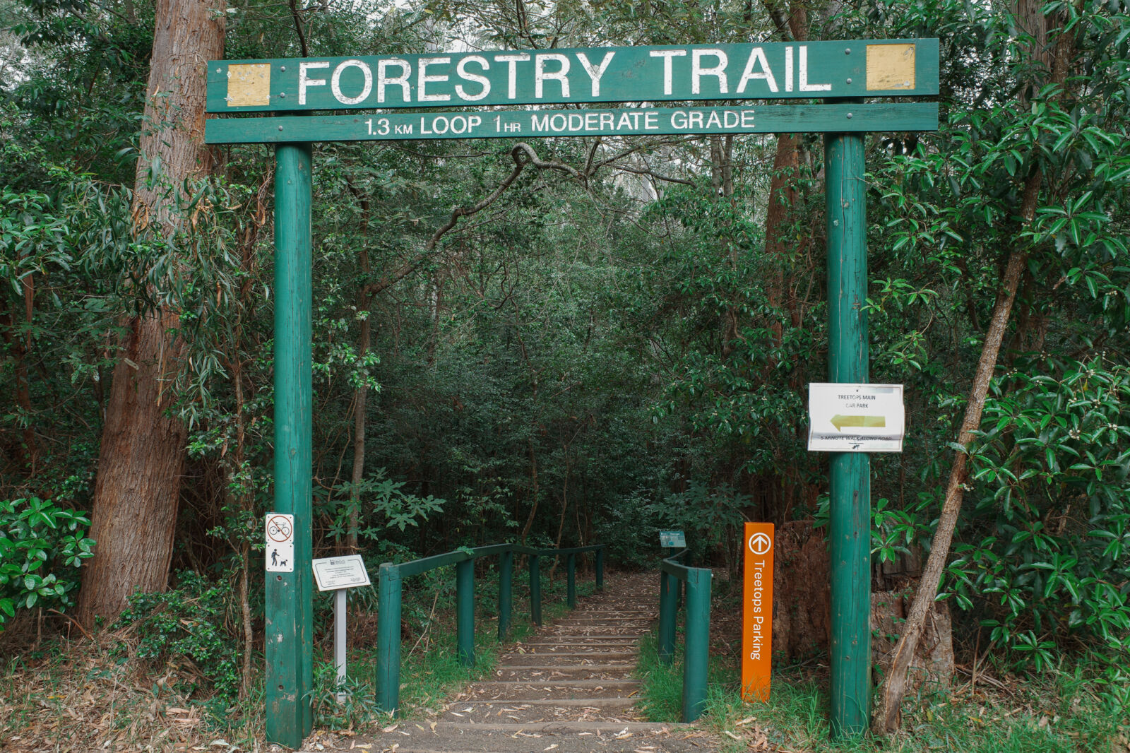A green timber archway marks the trailhead for the Forestry Trail loop at Cumberland State Forest, featuring a sign that reads 1.3 km loop 1 hr moderate grade, leading down a set of wooden bush steps into dense native forest.