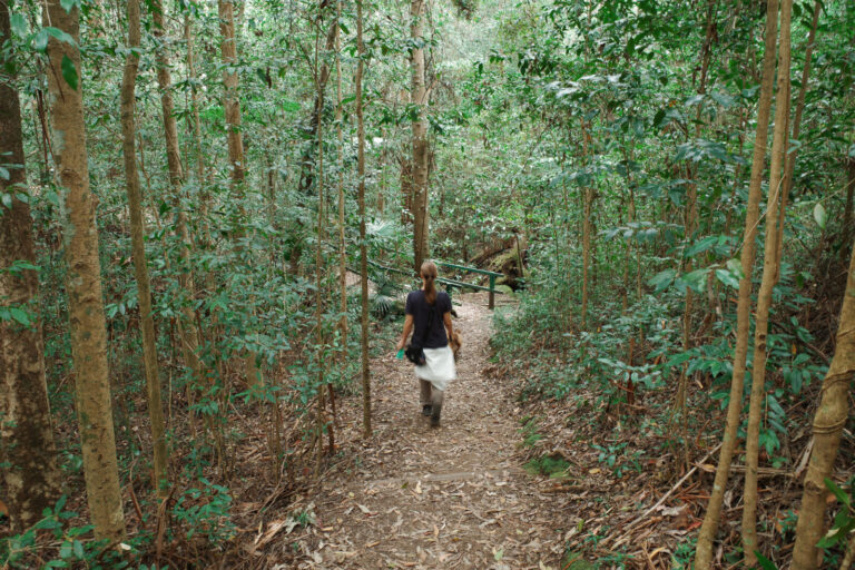 A woman from behind walks down a leaf-littered dirt trail with her dog through a dense, green forest of slender young trees and native shrubs.