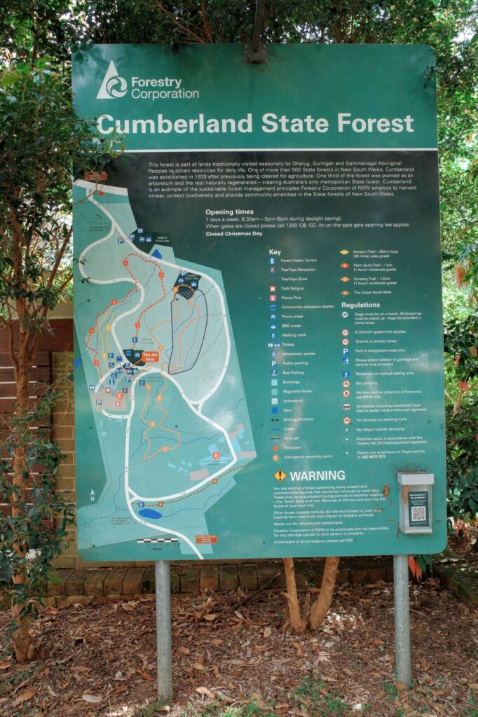 A large, green Forestry Corporation outdoor information board at Cumberland State Forest shows a detailed trail map, walking regulations, and historical details acknowledging the Dharug, Guringai, and Gaimaragal Aboriginal Peoples.