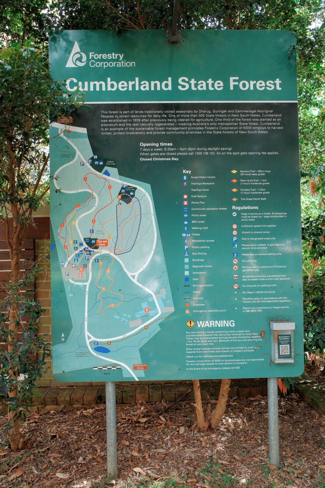 A large, green Forestry Corporation outdoor information board at Cumberland State Forest shows a detailed trail map, walking regulations, and historical details acknowledging the Dharug, Guringai, and Gaimaragal Aboriginal Peoples.