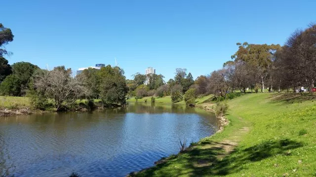 The Parramatta River winding past green grassy banks and mature trees with distant city buildings under a bright blue sky.