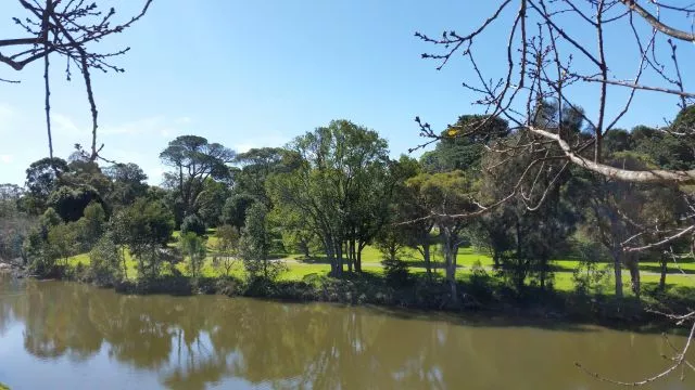 A view across the Parramatta River towards the open green lawns and trees framed by bare branches in the foreground.
